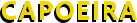 CAPOEIRA CAPOEIRA